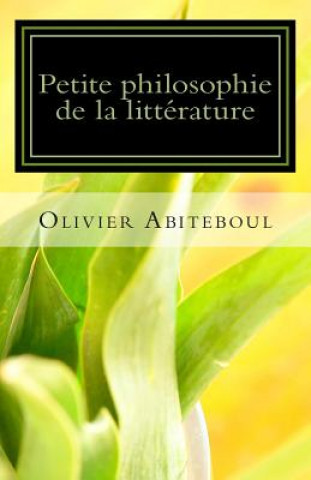 Könyv Petite philosophie de la littérature Olivier Abiteboul