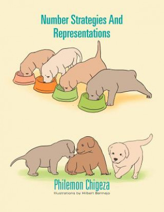 Book Number Strategies And Representations Philemon Chigeza