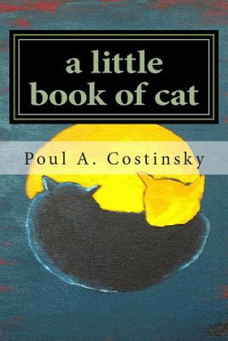 Buch A little book of cat: Meditations on Japanese art of sumi-e and the essence of catness. Poul a Costinsky