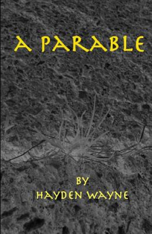 Knjiga A Parable MR Hayden Wayne