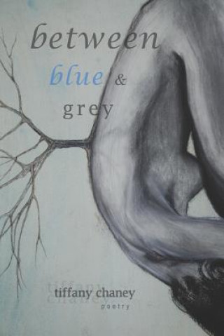 Book Between Blue and Grey: poetry Tiffany Chaney