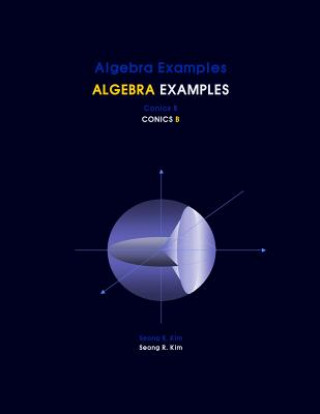 Knjiga Algebra Examples Conics B Seong R Kim