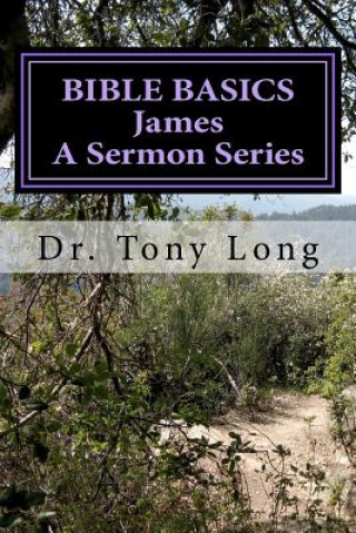 Kniha BIBLE BASICS James Dr Tony Long