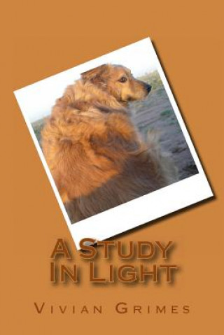 Buch A Study In Light Vivian Grimes