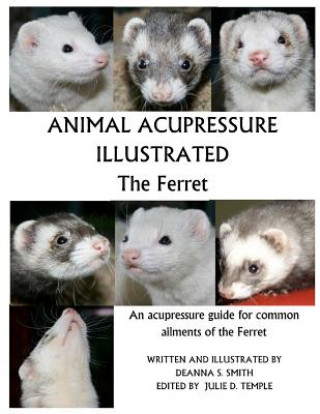 Carte Animal Acupressure Illustrated The Ferret Julie D Temple