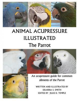 Kniha Animal Acupressure Illustrated The Parrot Julie D Temple