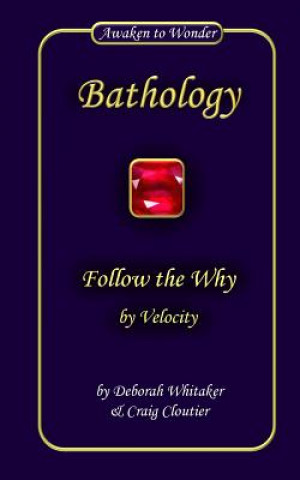 Boek Follow the Why: by Velocity Deborah Whitaker