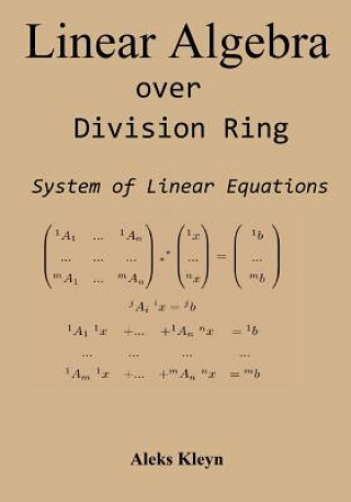 Kniha Linear Algebra over Division Ring Aleks Kleyn