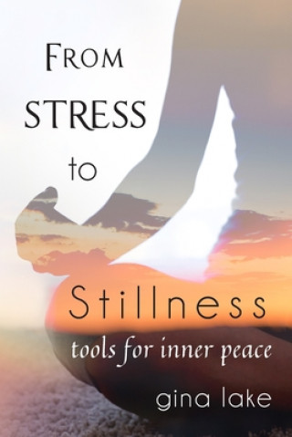 Kniha From Stress to Stillness Gina Lake