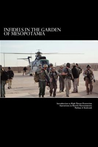 Kniha Infidels in the Garden of Mesopotamia - Introduction to High Threat Protection Operations in Hostile Environments: Introduction to High Threat Protect MR Nathan a Seabrook