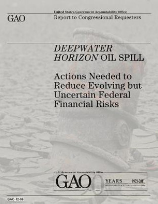 Książka Deepwater Horizon Oil Spill: Actions Needed to Reduce Evolving but Uncertain Federal Financial Risks U S Government Accountability Office