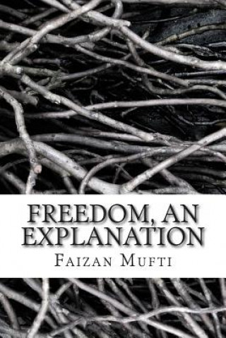 Könyv Freedom, an Explanation Faizan Mufti