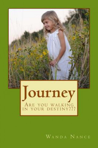 Книга Journey: Are You Walking In Your Destiny MS Wanda D Nance