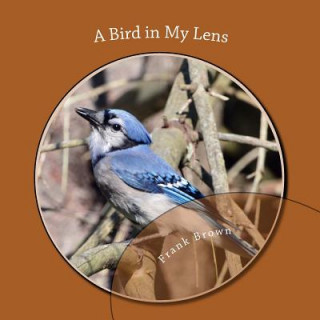 Könyv A Bird in My Lens Frank Brown