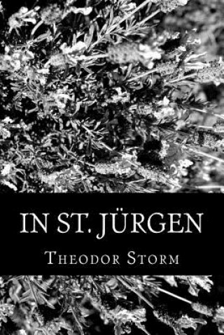 Kniha In St. Jürgen Theodor Storm