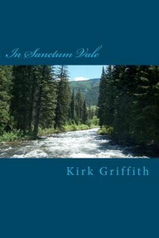 Kniha In Sanctum Vale: poems Kirk Griffith