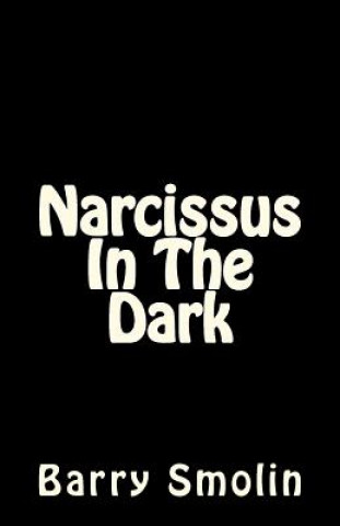 Book Narcissus In The Dark Barry Smolin