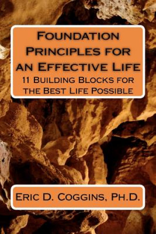 Knjiga Foundation Principles for an Effective Life: 11 Building Blocks for the Best Life Possible Eric D Coggins Ph D