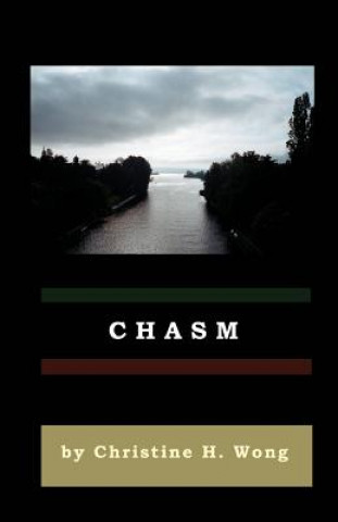 Knjiga Chasm Christine H Wong