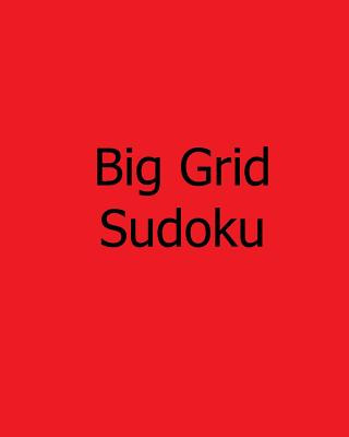 Kniha Big Grid Sudoku: 80 Medium Level Sudoku Puzzles Sylvia Rogers