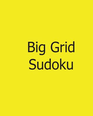 Könyv Big Grid Sudoku: Vol. 2 - 80 Gentle Sudoku Puzzles Sylvia Rogers