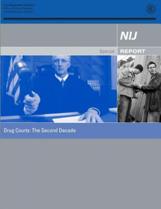 Βιβλίο Drug Courts: The Second Decade U S Department Of Justice