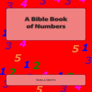 Kniha A Bible Book of Numbers: What IFS Bible picture books Sheila Deeth