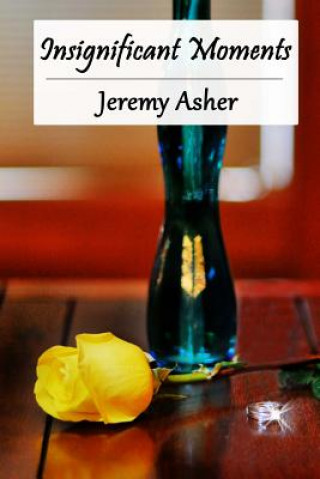 Book Insignificant Moments Jeremy Asher