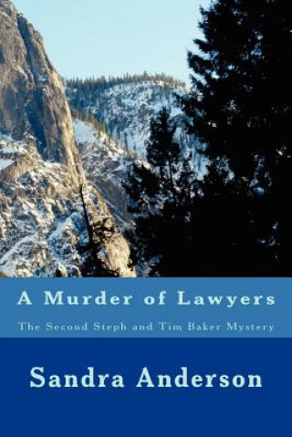 Carte A Murder of Lawyers: The Second Steph and Tim Baker Mystery Sandra Anderson