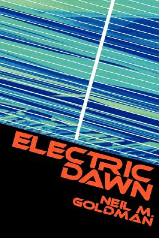 Kniha Electric Dawn Neil M Goldman