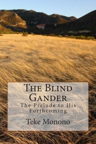 Книга The Blind Gander: The Prelude To His Forthcoming Teke Monono