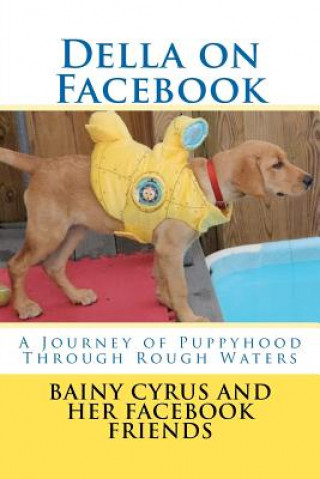 Book Della on Facebook Bainy B Cyrus