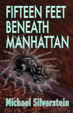 Buch Fifteen Feet Beneath Manhattan Michael Silverstein