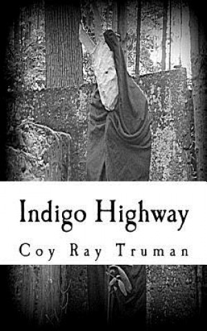 Kniha Indigo Highway Coy Ray Truman