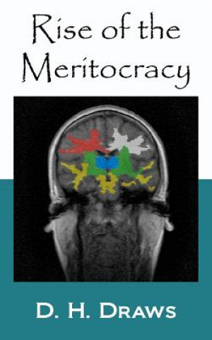 Książka Rise of the Meritocracy D H Draws