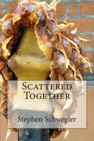 Knjiga Scattered Together Stephen Schwegler