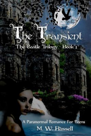 Carte The Transient - Book One The Castle Trilogy: Book One The Castle Trilogy M W Russell