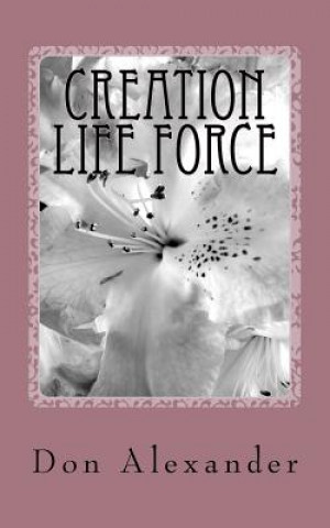 Buch Creation Life Force: Eternal Choice Don Alexander