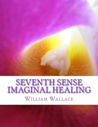Книга Seventh Sense Imaginal Healing: An homage to Dr. Richard Bartlett, Benjamin Bibb, Barbara Ann Brennan, Donna Eden, Dr. Meg Blackburn Losey, Dr. Gerald William Wallace