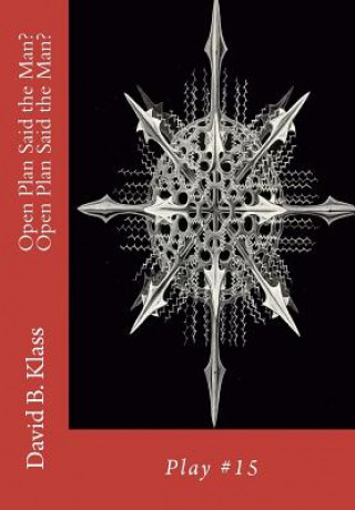 Boek Open Plan Said the Man? Open Plan Said the Man? David Brian Klass