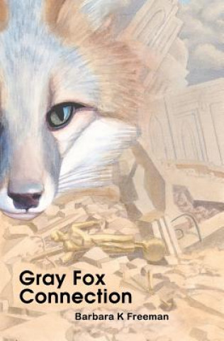 Book Gray Fox Connection Barbara K Freeman