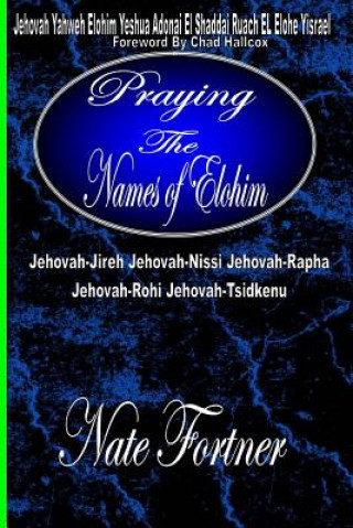 Книга Praying the names of Elohim Nate Fortner