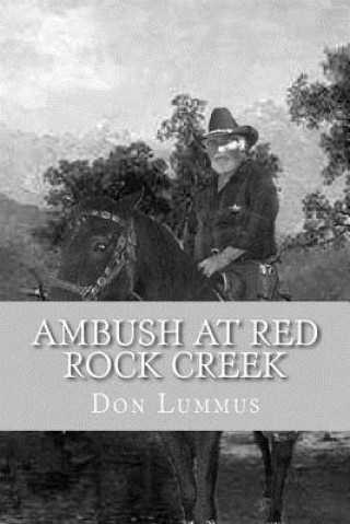 Kniha Ambush At Red Rock Creek MR Don Lummus Sr