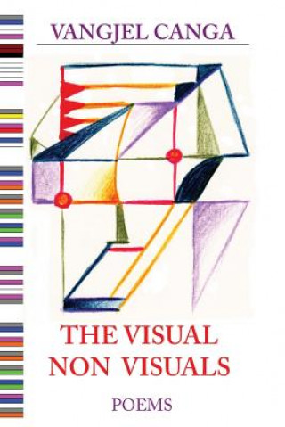 Knjiga The Visual Non Visuals Vangjel Canga