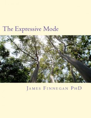 Könyv The Expressive Mode Dr James Finnegan