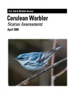 Kniha Cerulean Warbler - Status Assessment Paul B Hamel