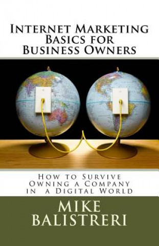 Livre Internet Marketing Basics for Business Owners: How to Survive Owning a Business in a Digital World MR Mike Joseph Balistreri