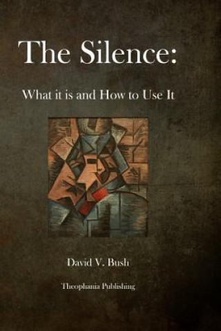 Kniha The Silence: What it is and How to Use It David V Bush