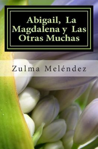 Kniha Abigail, La Magdalena y Las Otras Muchas Mrs Zulma Melendez