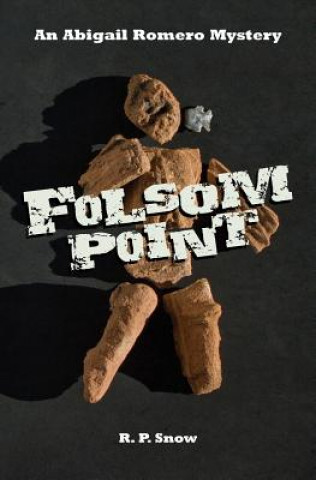 Knjiga Folsom Point R P Snow